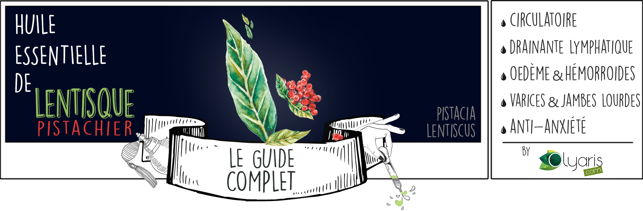 Huile Essentielle de Lentisque Pistachier : le Guide Complet par Olyaris